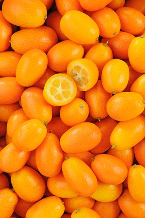 Le Kumquat