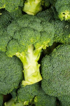 Le Brocoli BIO