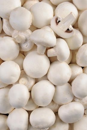 Le Champignon blanc