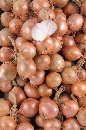 L'Oignon rose de Bretagne Tresse