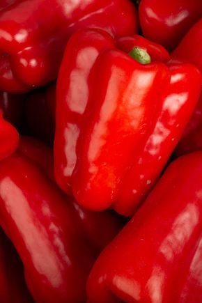 Le Poivron rouge BIO