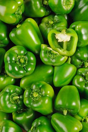 Le Poivron vert BIO