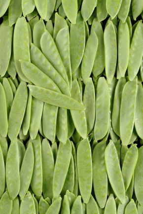 Pois Mangetout