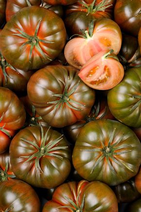 La Tomate noire primora - Sélection variété ancienne & gustative