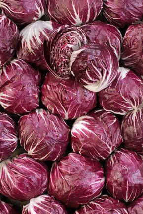 La Salade trévise