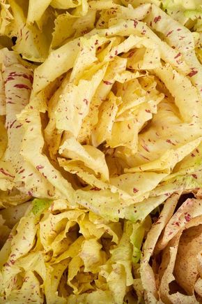 La Salade castelfranco