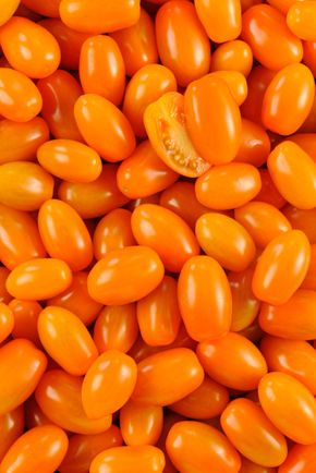 La Tomate cerise allongée orange HVE