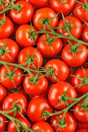 La Tomate grappe BIO