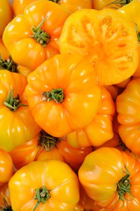La Tomate ananas margold - Sélection variété ancienne