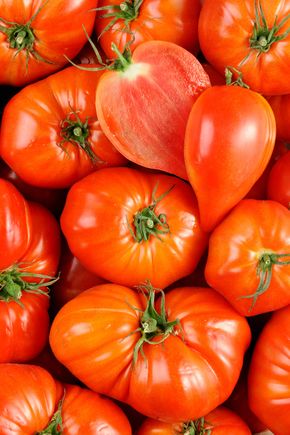 La Tomate cœur de bœuf - Sélection variété ancienne