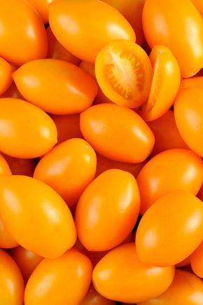 La Tomate organza - Sélection variété ancienne & gustative