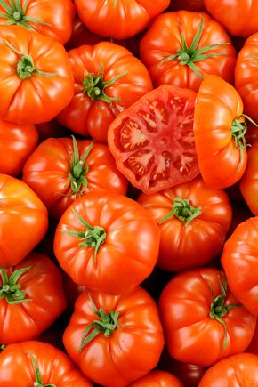 La Tomate marmande - Sélection variété ancienne