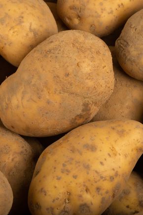 La Pomme de terre non lavée