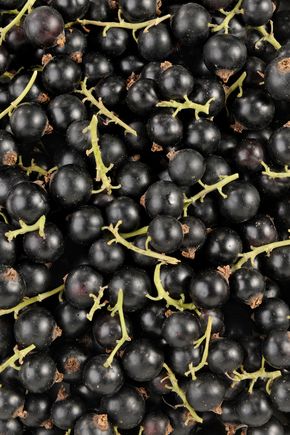 Le Cassis 125g