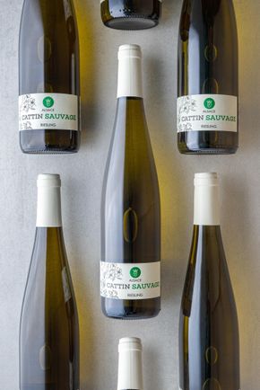 Le Vin blanc ALSACE AOP - Riesling 2021 - Vin blanc Bio végan