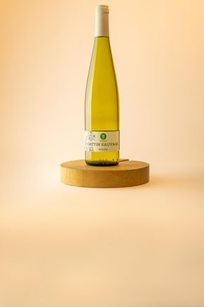 Le Vin blanc ALSACE AOP - Riesling 2021 - Vin blanc BIO vegan