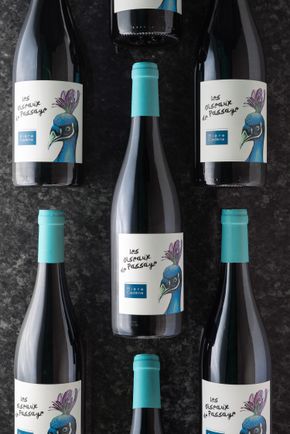 Le Vin rouge côtes catalanes IGP " Domaine Rière Cadène" - les oiseaux de passages - 2021