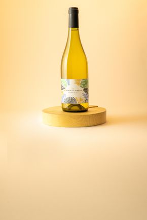 Le Vin blanc Bordeaux AOP "Domaine de Chibaou" cuvée Chibaou