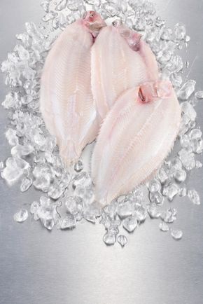 La Limande sole pelée et vidée