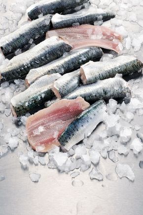 Les Filets de sardines