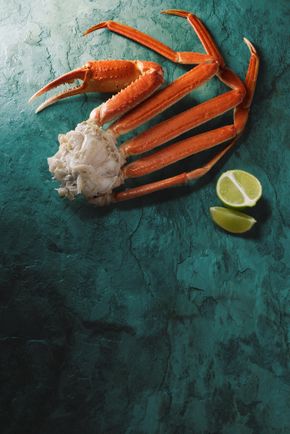 Les Crabes des neiges