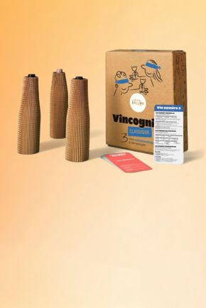 Vincognito - Coffret dégustation à l'aveugle (3 x 75 cl)