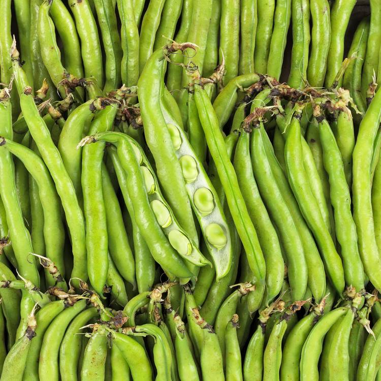 La Fève BIO