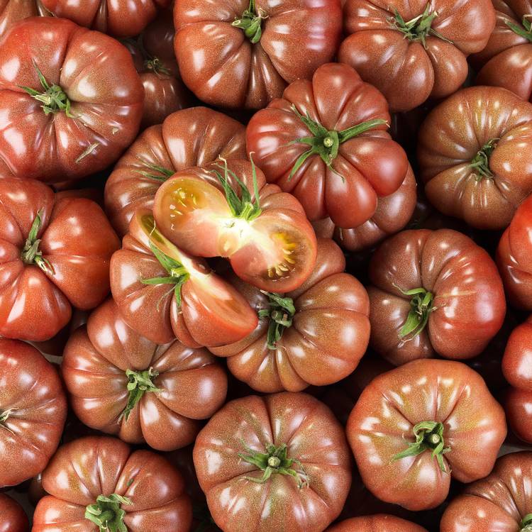 La Tomate côtelée noire BIO