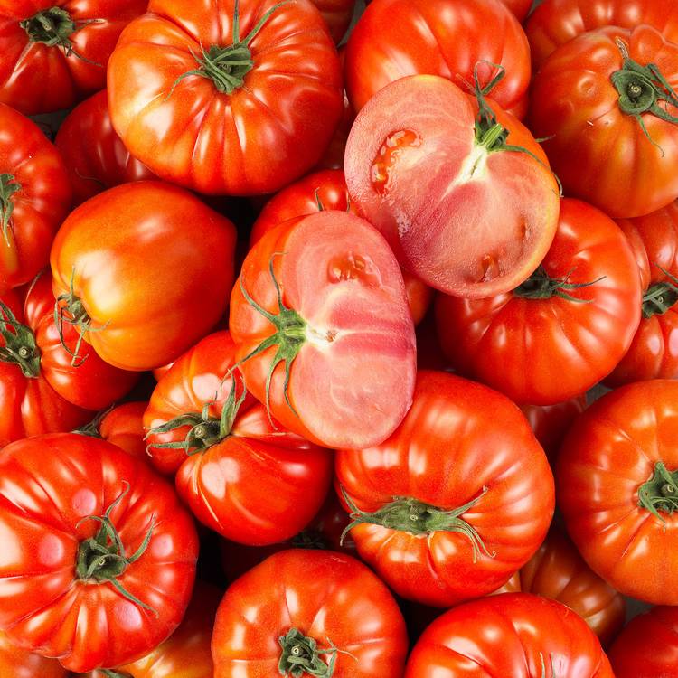 La Tomate côtelée rose BIO