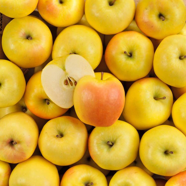 La Pomme goldrush delisdor BIO