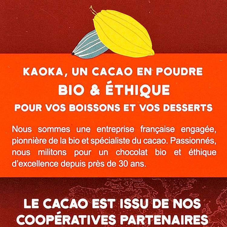 La Poudre cacaotée BIO - 3