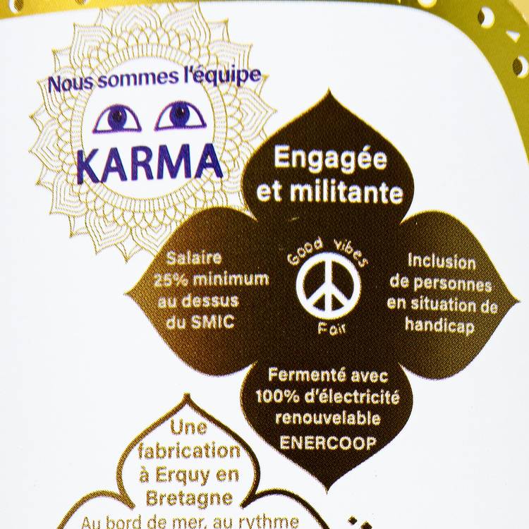 Le Kombucha gingembre BIO 1L - 4