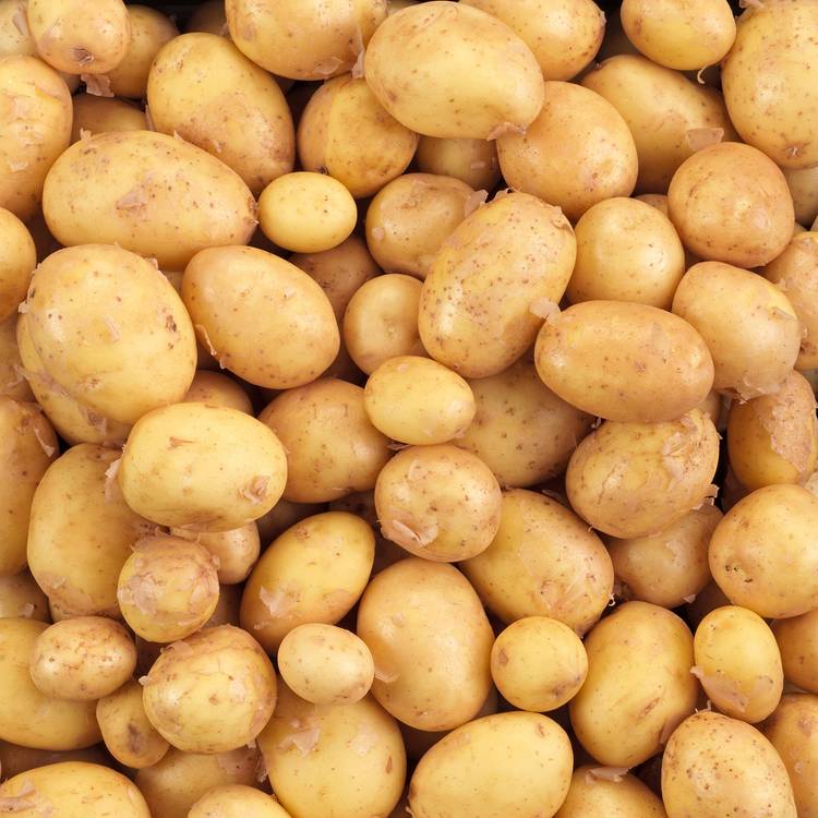 La Pomme de terre grenaille BIO