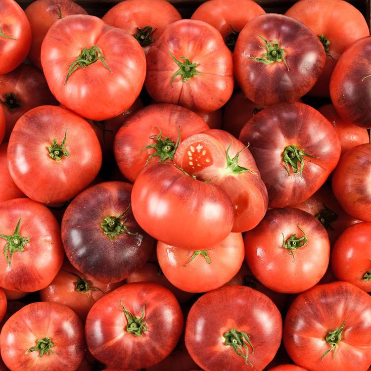 La Tomate cotelée bleue BIO