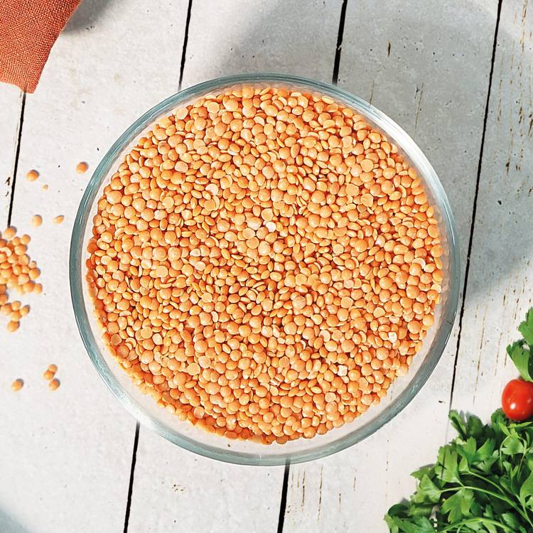 Les Lentilles corail du Berry