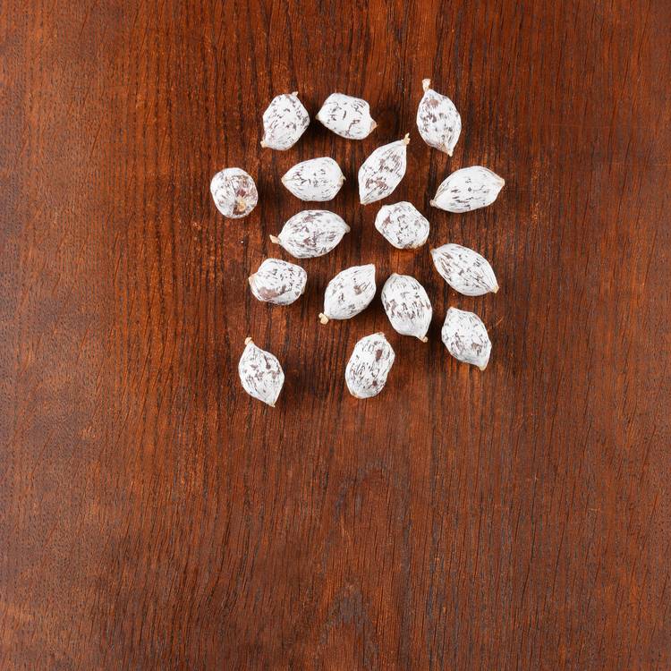 Les Mini saucicourts BIO