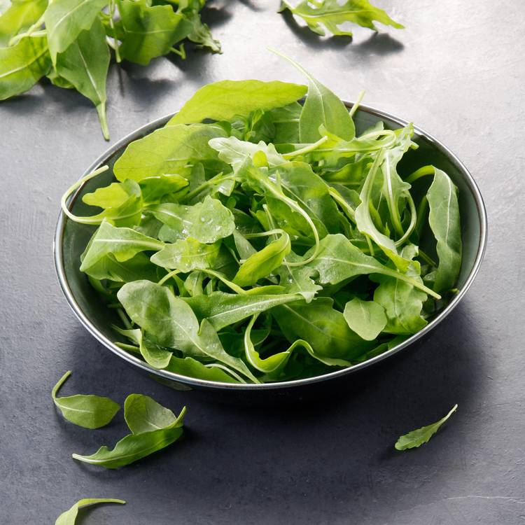 La Roquette