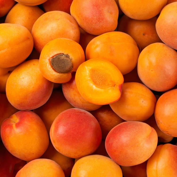 L'Abricot à confiture en colis