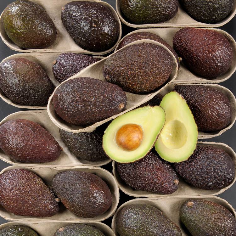 Les 2 Avocats sélection mûrs à point