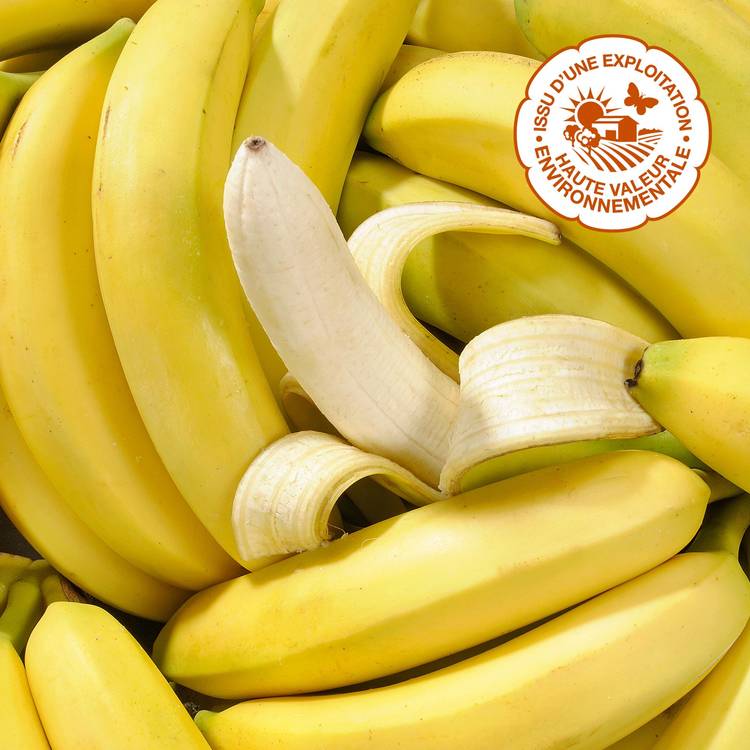 La Main de bananes des Antilles HVE