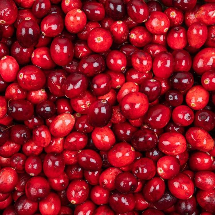 L'Airelle fraîche ou cranberry