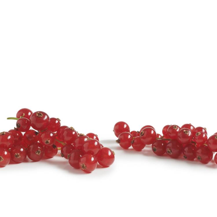 La Groseille rouge pour confiture en colis de 1kg - 2