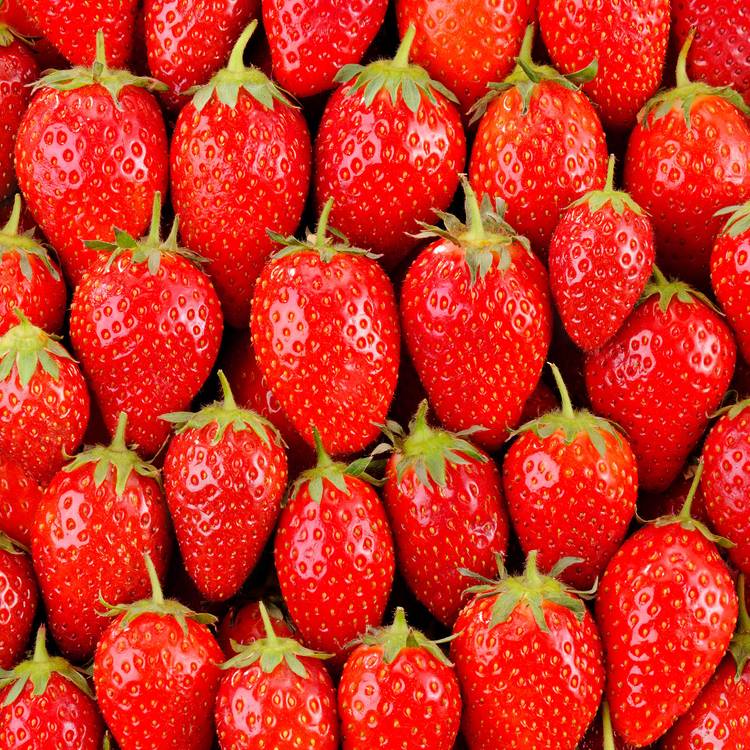 La Fraise mariguette en plateau