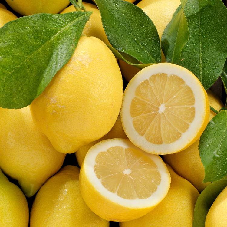 Le Citron feuille non traité après récolte - 1