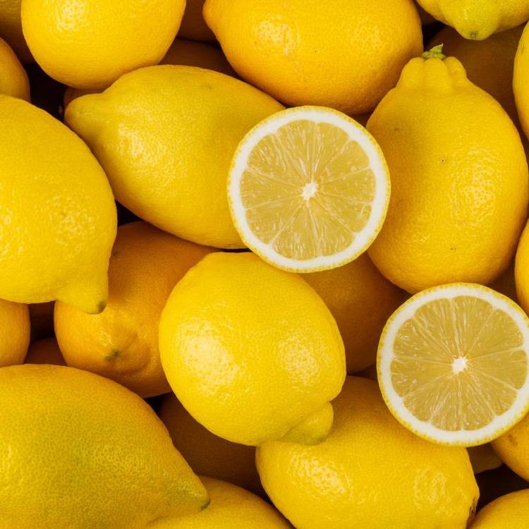 Le Citron jaune non traité en filet de 1kg - 1