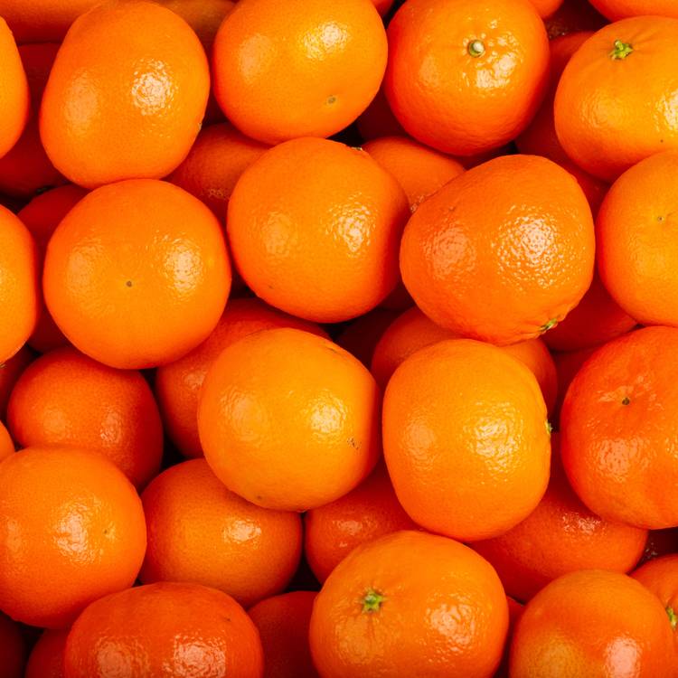 La Mandarine en filet de 1,5kg - 1