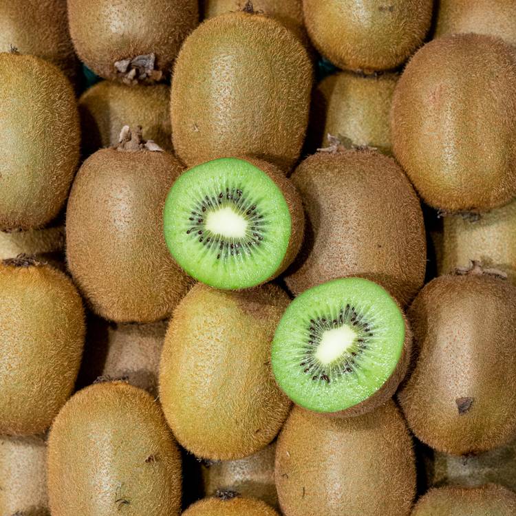 Le Kiwi vert sélection (gros calibre)