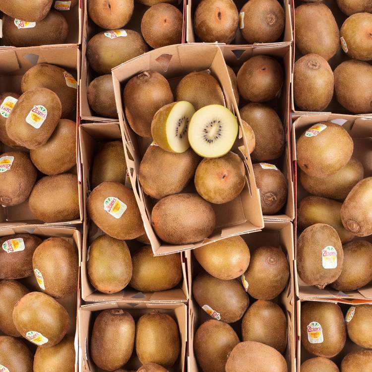 Le Kiwi sun gold