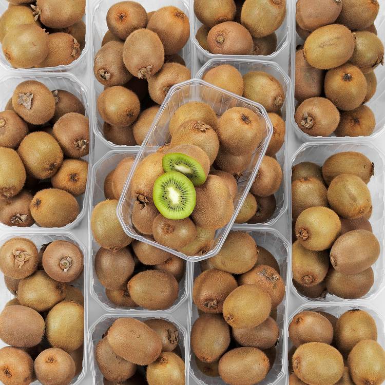 Le Kiwi  en barquette