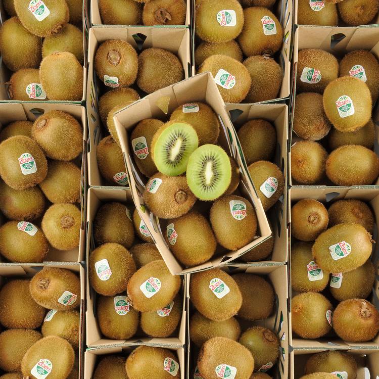 Le Kiwi  en barquette